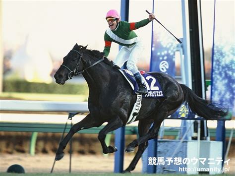 2002年 馬|競馬